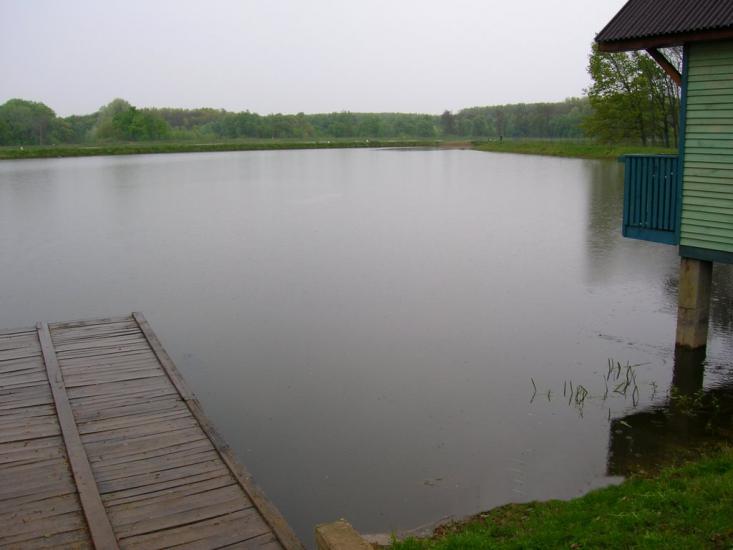 Велика Добронь з panoramio.com - Великая Добронь
