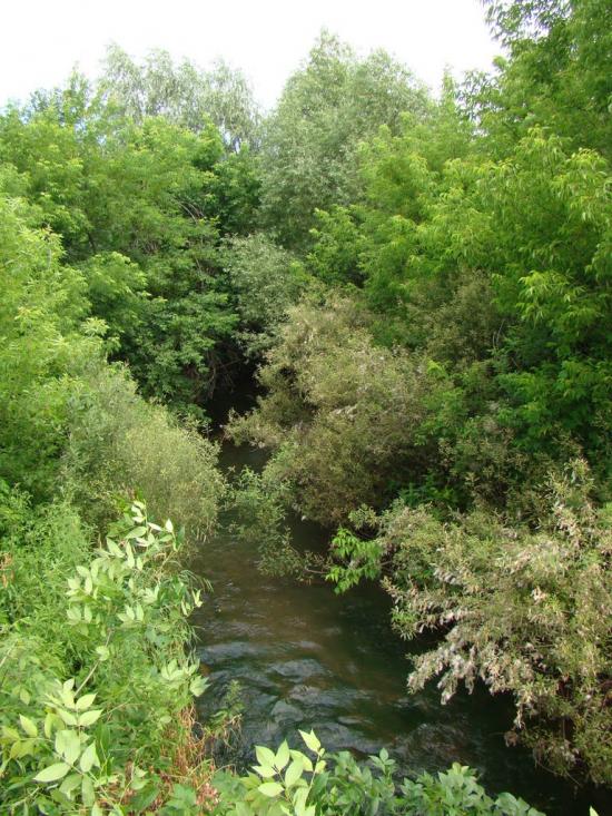 Бокове-Платове з panoramio.com - Боково-Платово