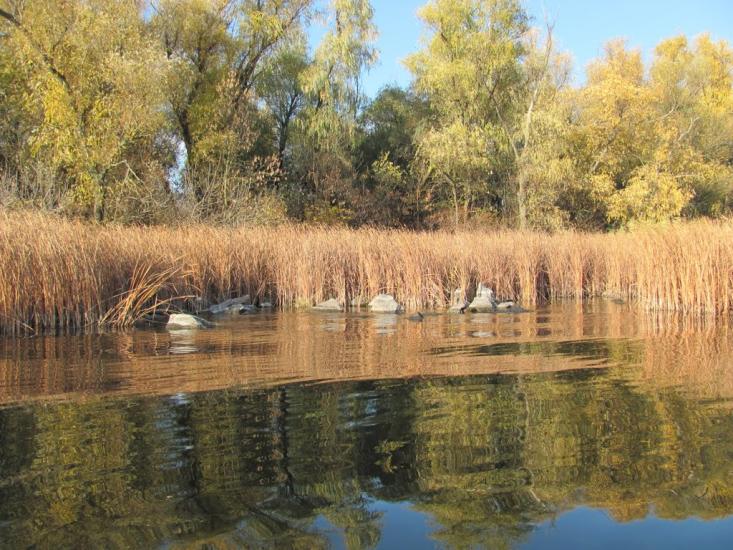 Придніпровське з panoramio.com - Придніпровське