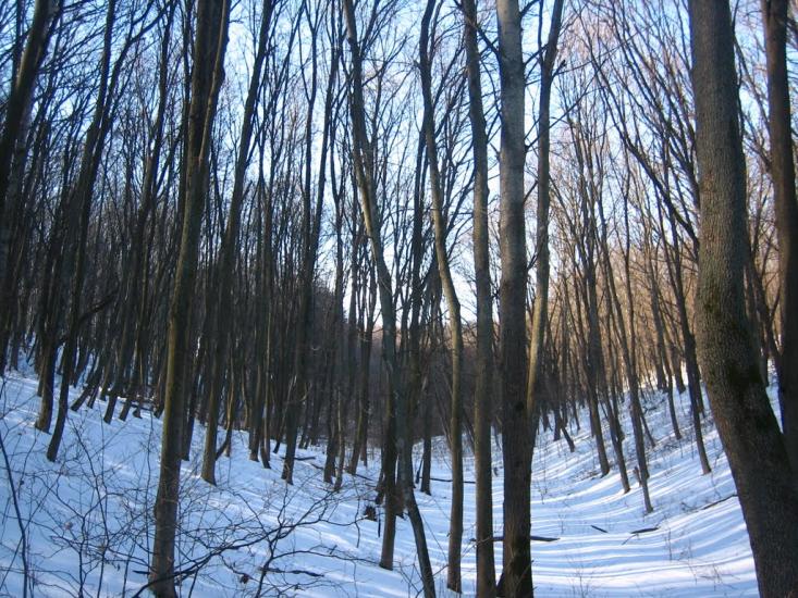 Малі Проходи з panoramio.com - Малі Проходи