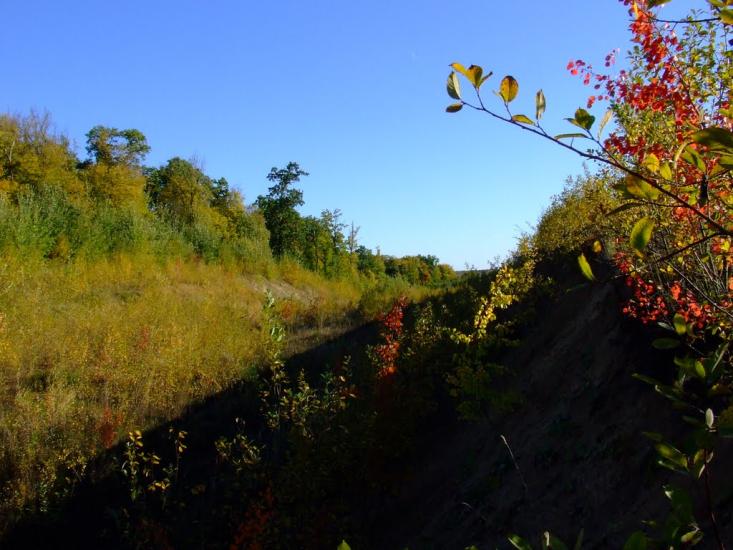 Кровинка з panoramio.com - Кровинка