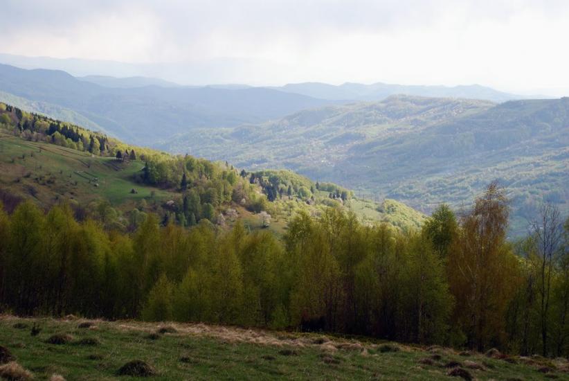 Косівська Поляна з panoramio.com - Косівська Поляна