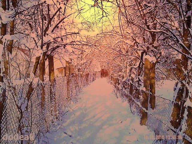 Вилок з panoramio.com - Вилок