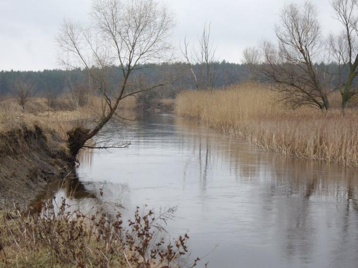 Дмитрівка з panoramio.com - Дмитрівка
