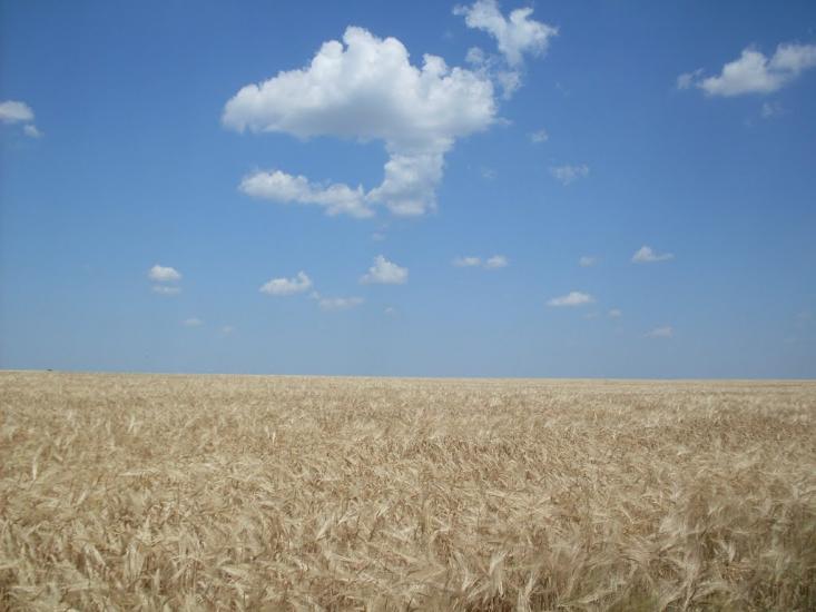Гранів з panoramio.com - Гранов