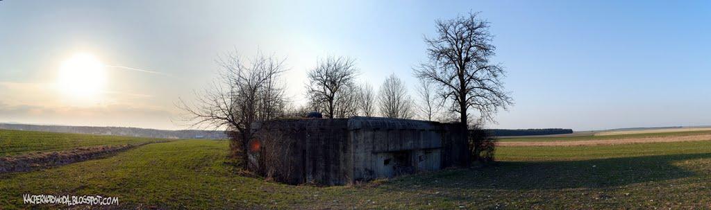 Зелена Гута з panoramio.com - Zelena Guta