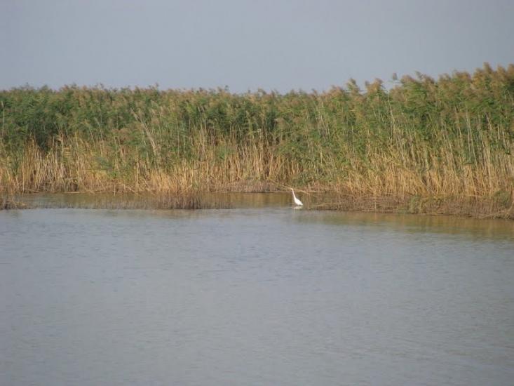 Леськи з panoramio.com - Lesky