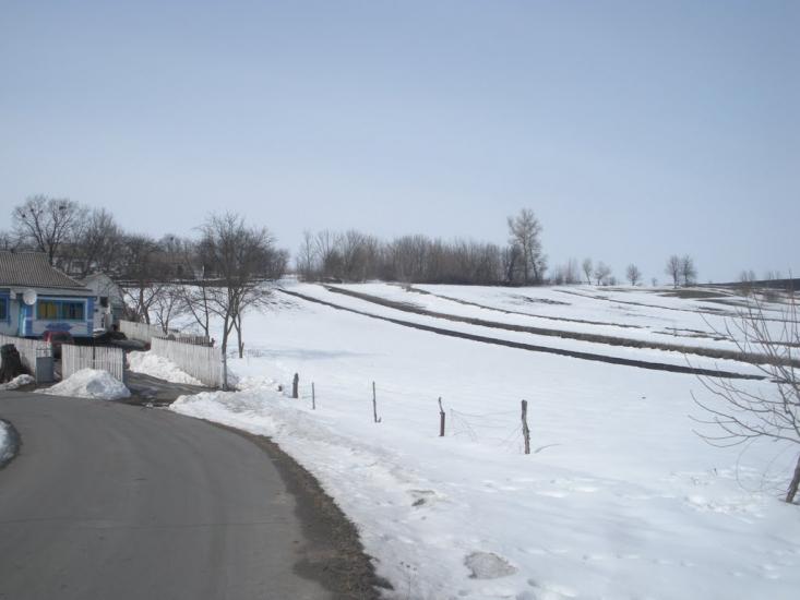 Чаплинка з panoramio.com - Чаплинка