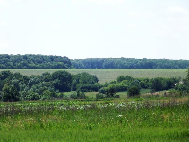 Романівка з panoramio.com - Романівка
