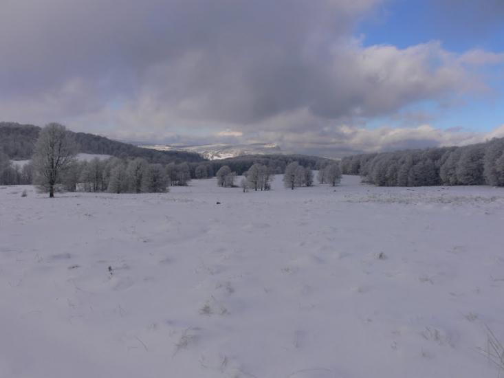 Бедевля з panoramio.com - Бедевля