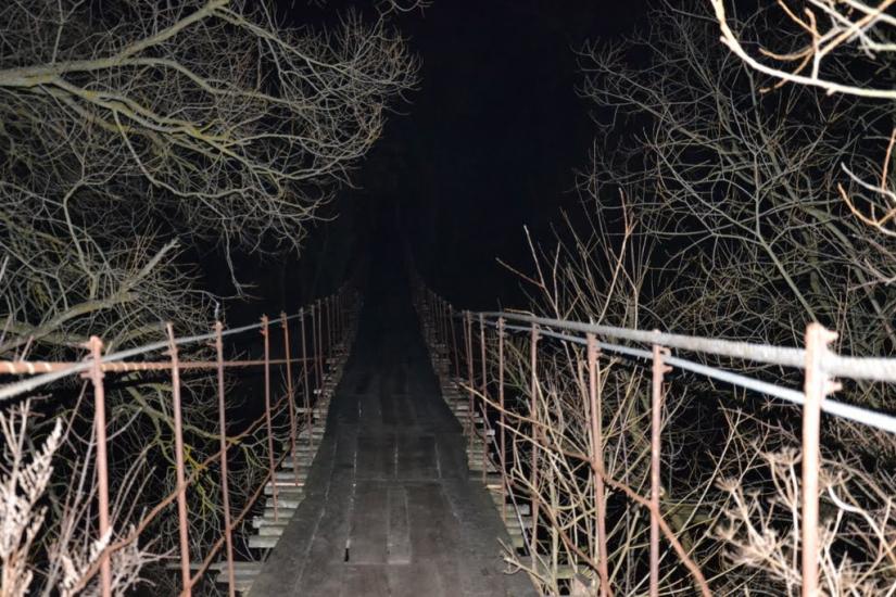 Вільха з panoramio.com - Вільха