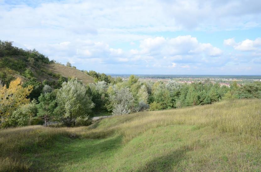 Великі Дмитровичі з panoramio.com - Великі Дмитровичі