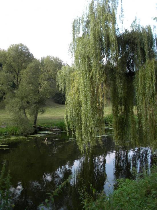 Першотравенськ з panoramio.com - Першотравенськ