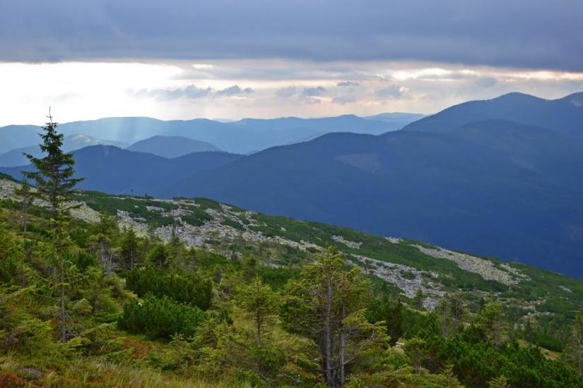 Гриньків з panoramio.com - Гриньків