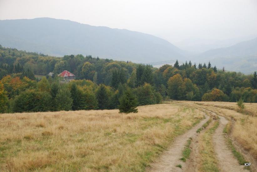 Суха з panoramio.com - Сухая