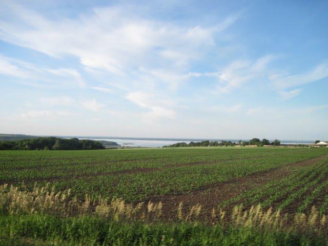 Пушкарівка з panoramio.com - Пушкарівка