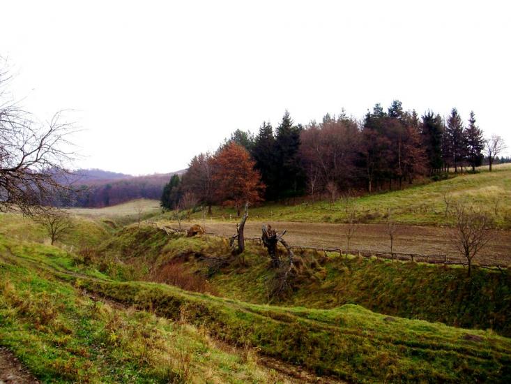 Добринів з panoramio.com - Добринев