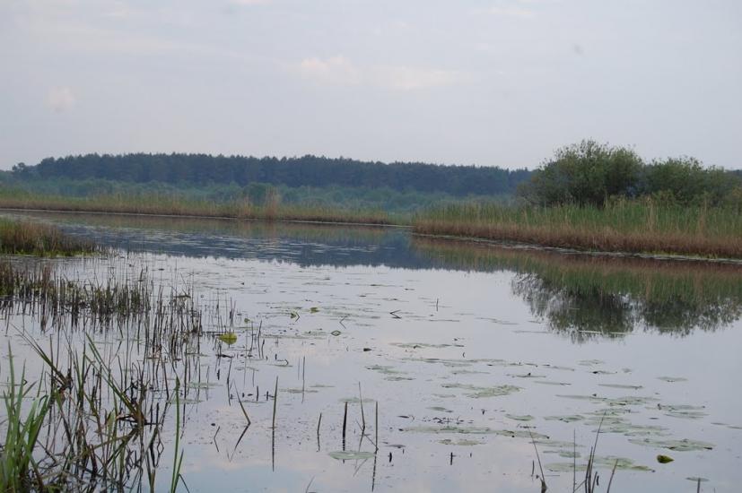 Куликовичі з panoramio.com - Куликовичи