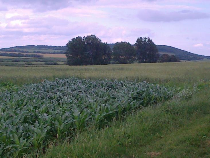 Сатиїв з panoramio.com - Сатыев