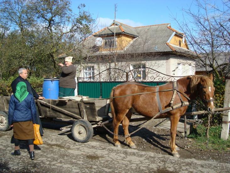 Раківчик з panoramio.com - Раківчик