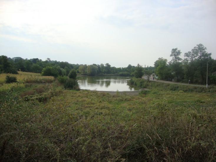 Серебринці з panoramio.com - Серебринці