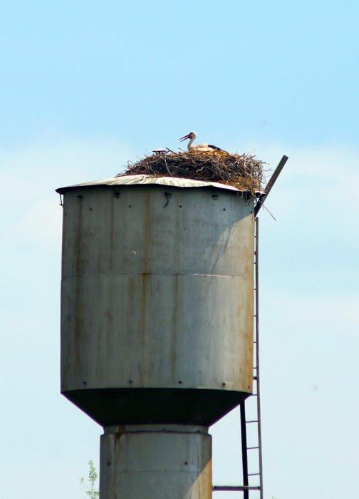 Барило з panoramio.com - Барило