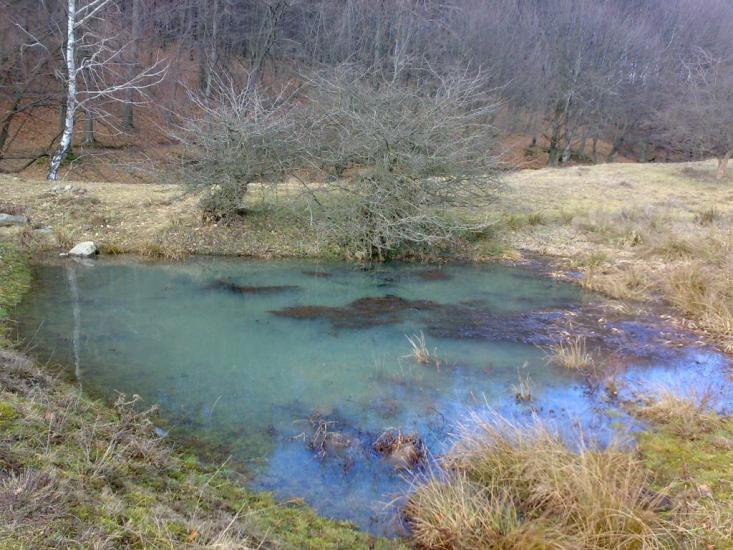 Верхня Солотвина з panoramio.com - Верхня Солотвина