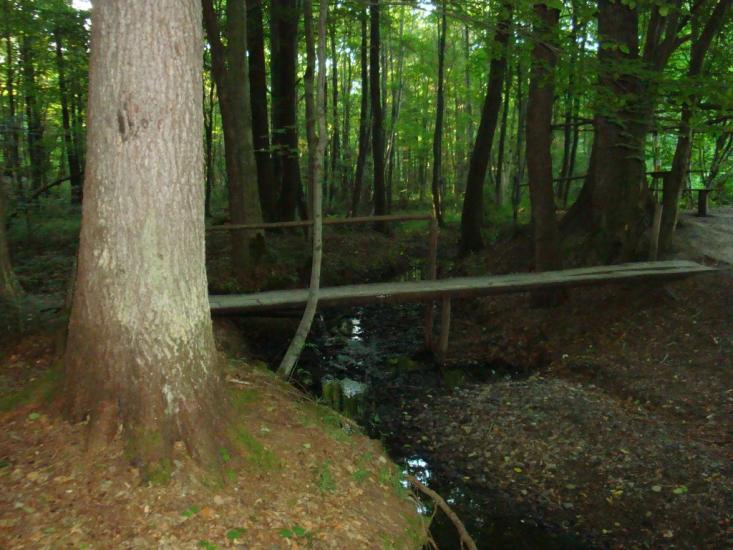 Раківчик з panoramio.com - Раківчик
