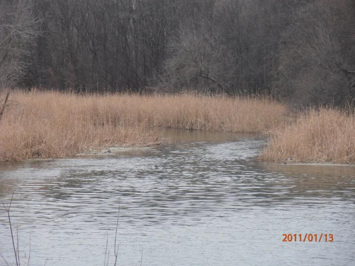 Старобільськ з panoramio.com - Старобельск