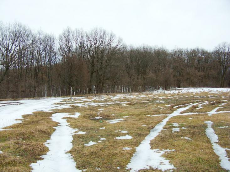 Руська Лозова з panoramio.com - Ruska Lozova