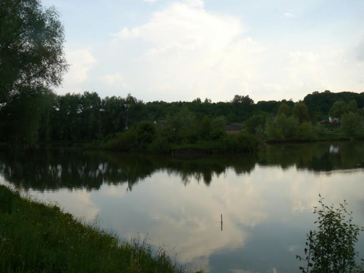 Великі Дмитровичі з panoramio.com - Великі Дмитровичі