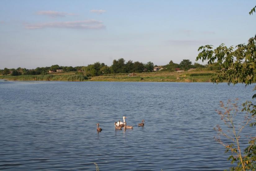 Плетений Ташлик з panoramio.com - Плетений Ташлик