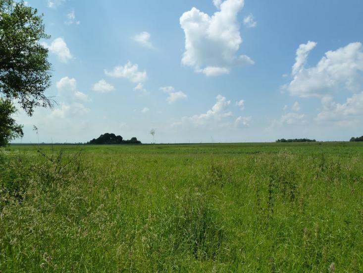 Кураж з panoramio.com - Кураж