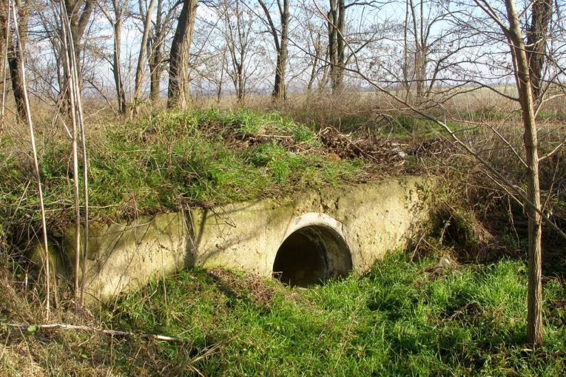 Новий Гребеник з panoramio.com - Новый Гребеник