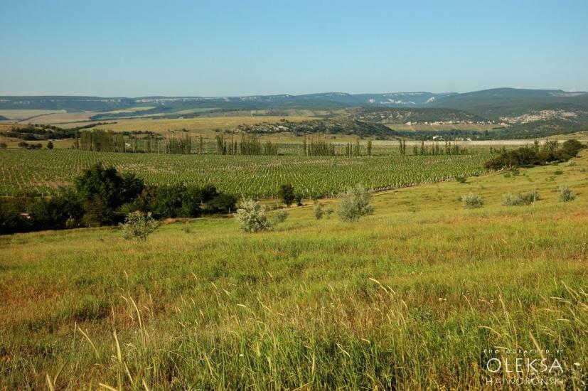 Інкерман з panoramio.com - Inkerman