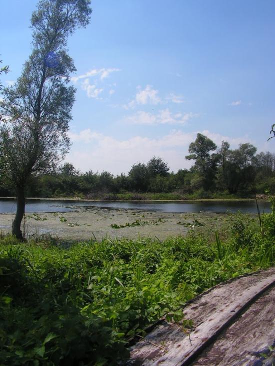 Забужжя з panoramio.com - Забужье