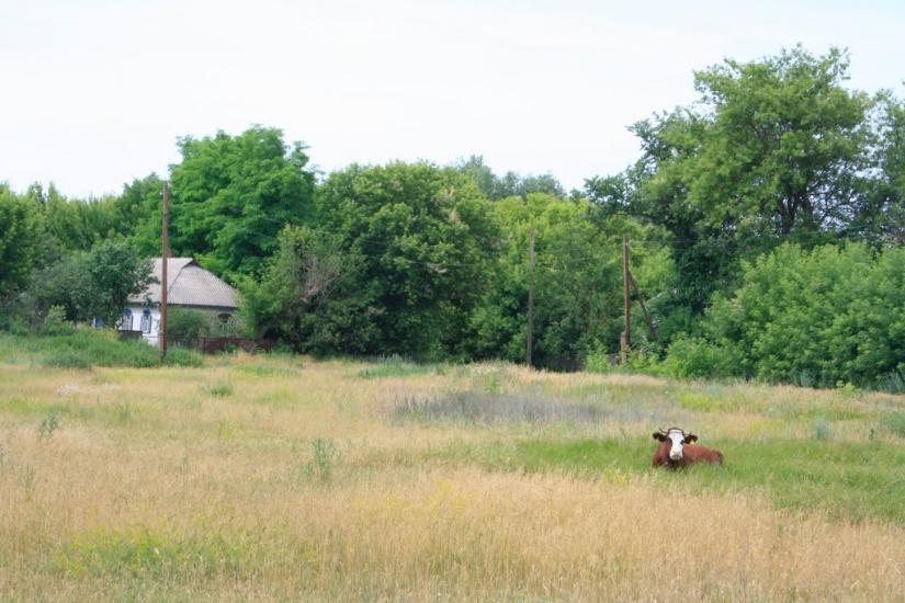 Григорівка з panoramio.com - Григорівка