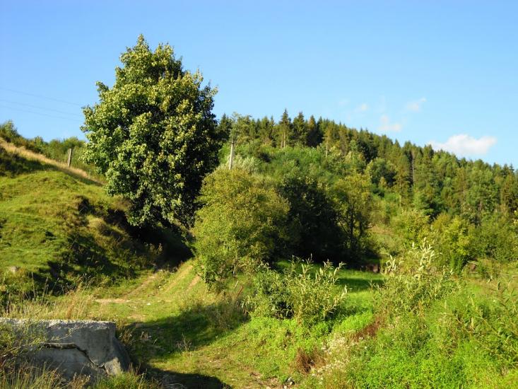 Нижні Ворота з panoramio.com - Нижні Ворота