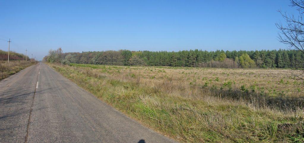 Бірки з panoramio.com - Бирки