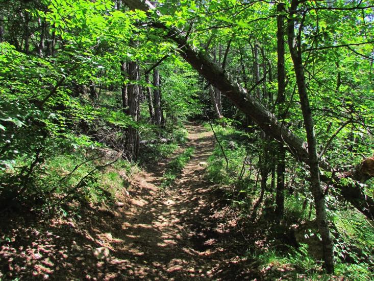 Многоріччя з panoramio.com - Многоріччя