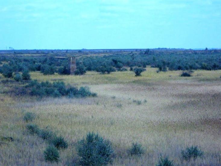 Старозаводське з panoramio.com - Старозаводское