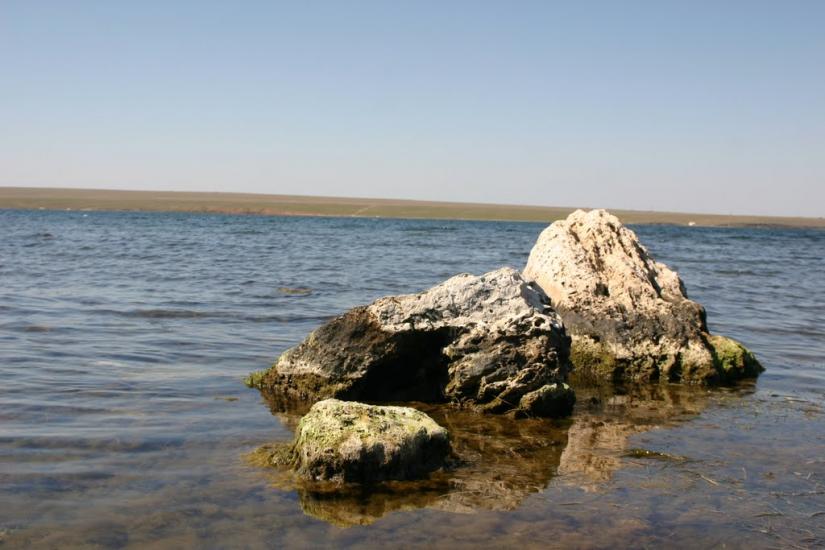 Веселівка з panoramio.com - Веселовка