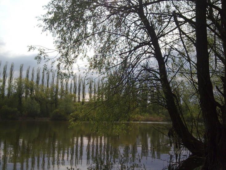 Веселівка з panoramio.com - Веселівка