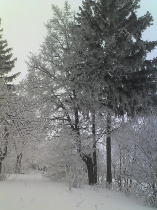 Мартинівка з panoramio.com - Мартыновка