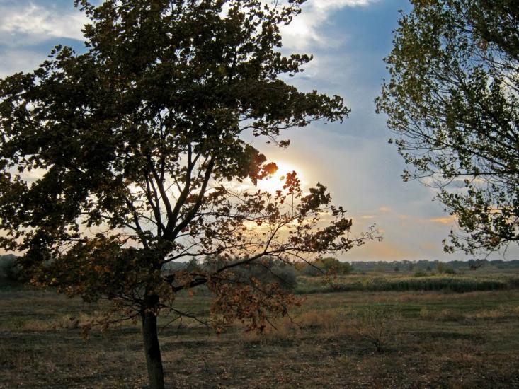 Новопілля з panoramio.com - Новополье