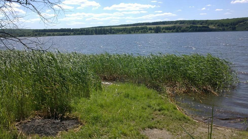 Липці з panoramio.com - Липцы