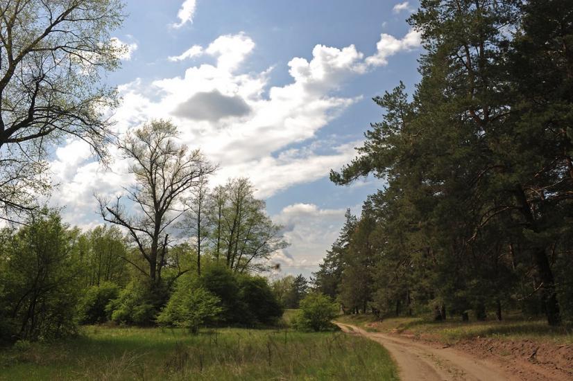 Закітне з panoramio.com - Закотное