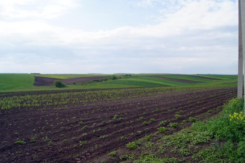 Травневе з panoramio.com - Травневе