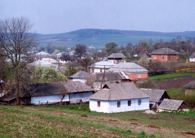 Добринів з panoramio.com - Dobryniv