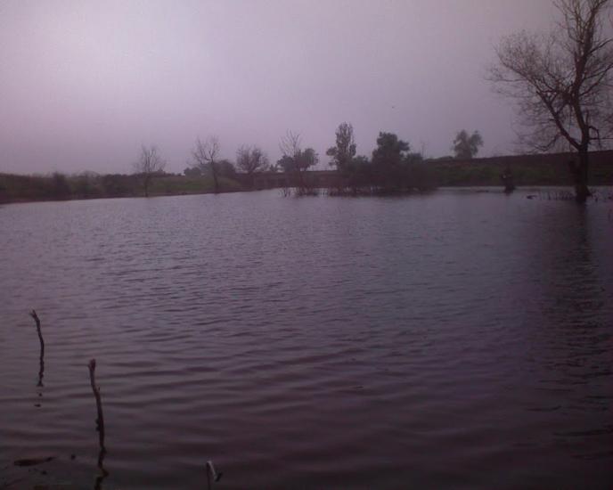 Куйбишеве з panoramio.com - Куйбышево